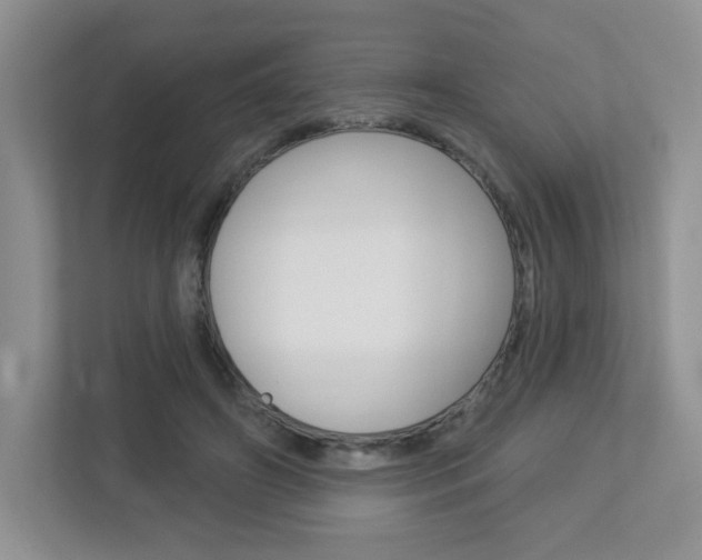 X0000112760498200908201036