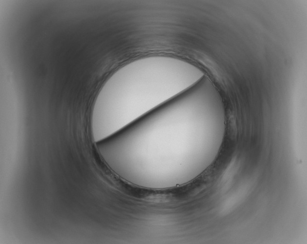 X0000112760499200908201036