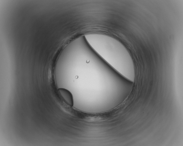 X0000112760500200908201036