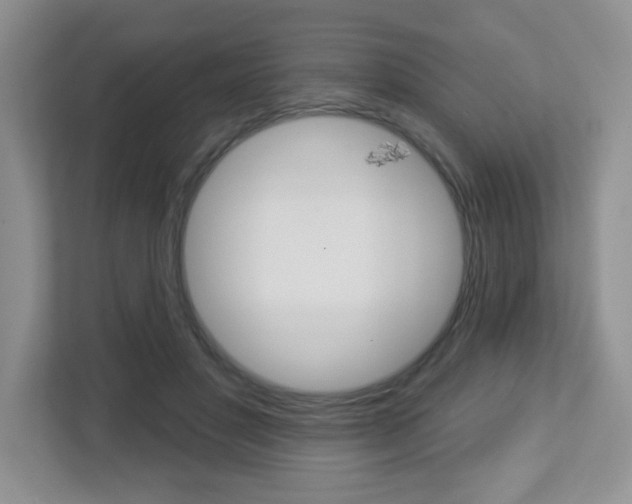 X0000112760501200908201036