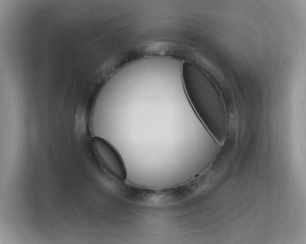 X0000112760504200908201036