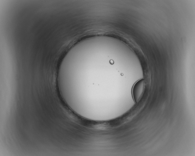 X0000112760505200908201036