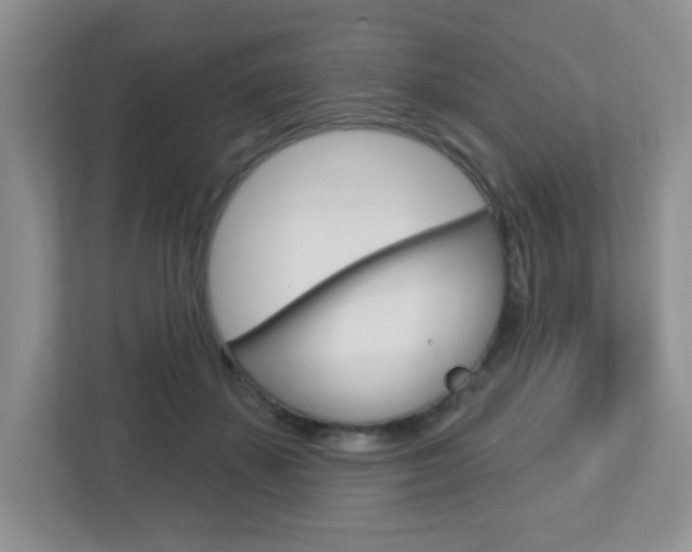 X0000112760507200908201036