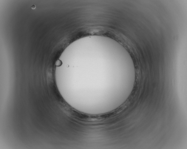 X0000112760510200908201036