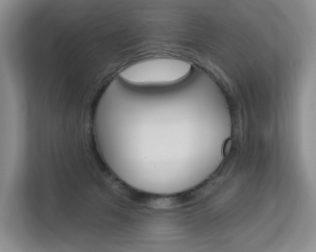 X0000112760513200908201036
