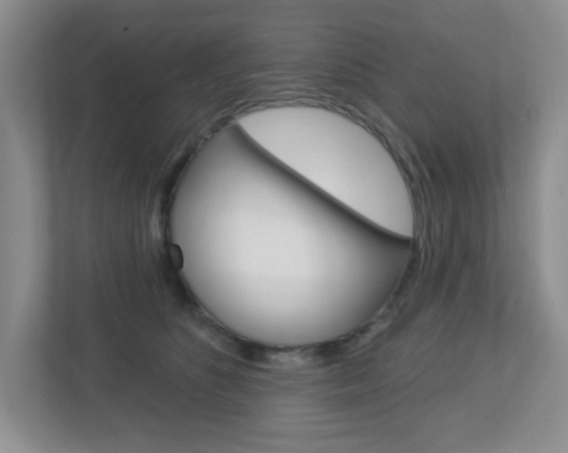 X0000112760516200908201036