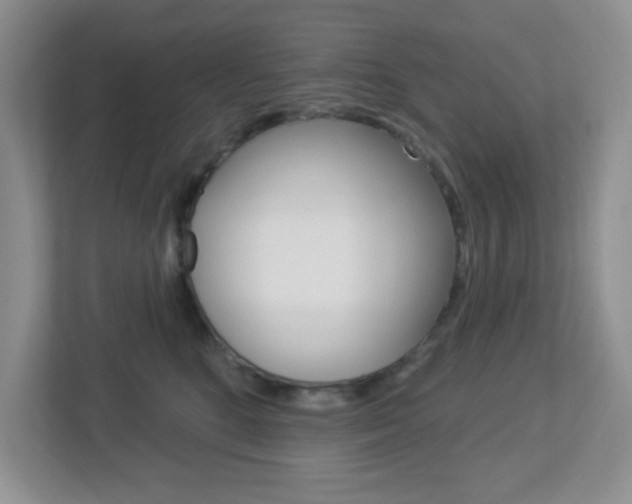 X0000112760520200908201036