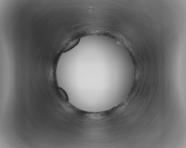 X0000112760524200908201036
