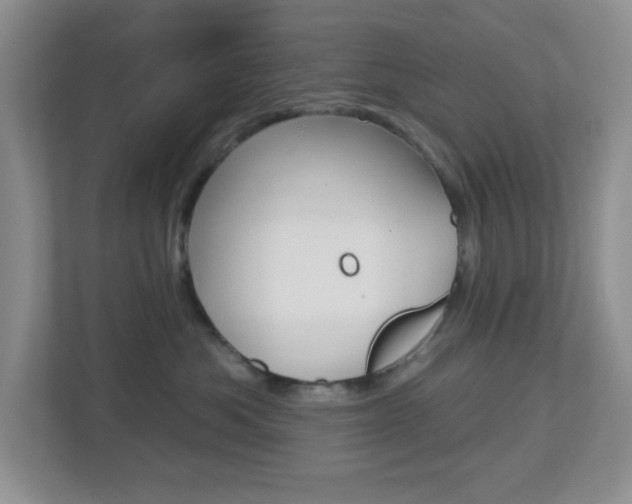X0000112760525200908201036