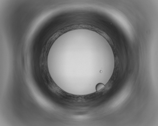 X0000112760526200908201036