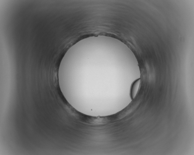 X0000112760527200908201036