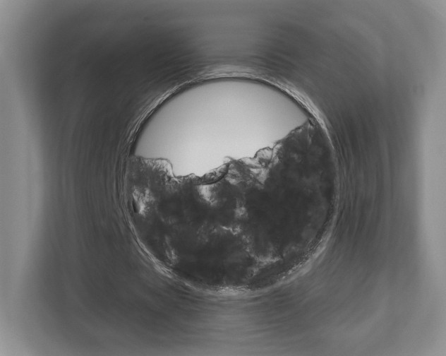 X0000112760529200908201035