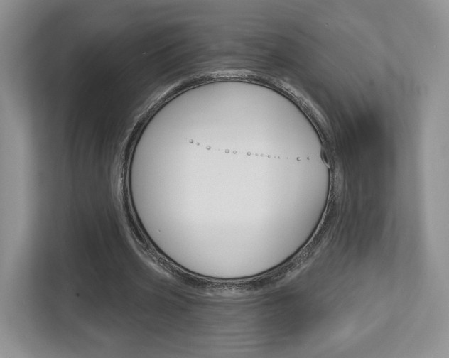 X0000112760533200908201035