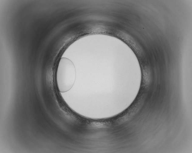 X0000112760534200908201035