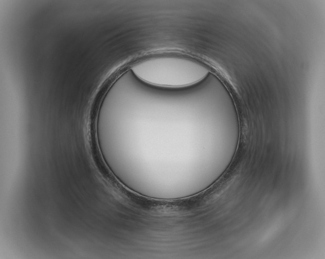 X0000112760535200908201035