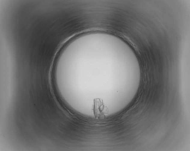 X0000112760536200908201035