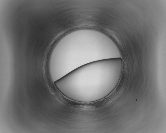 X0000112760539200908201035