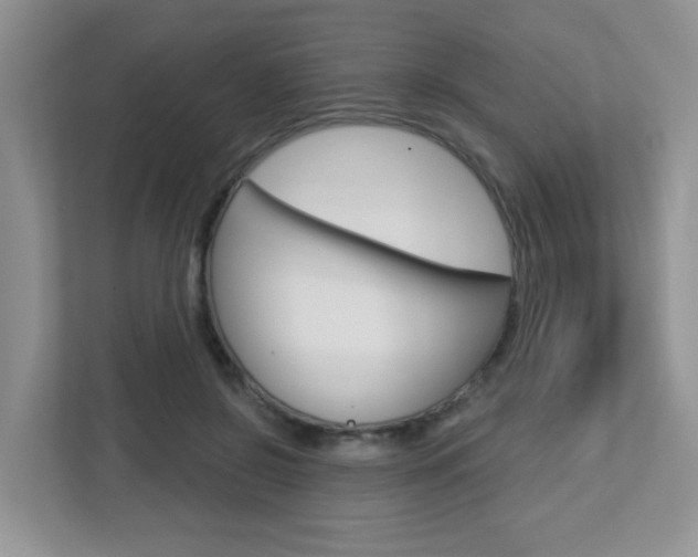 X0000112760550200908201035