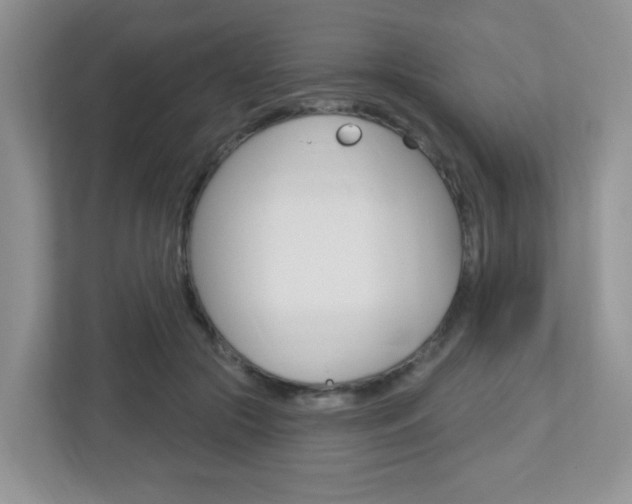 X0000112760553200908201035