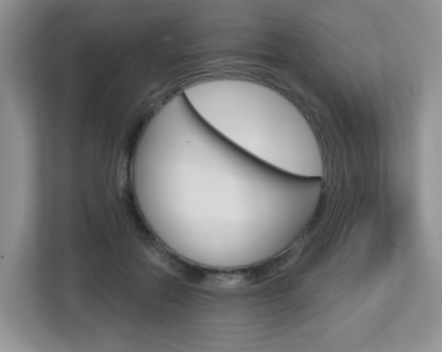 X0000112760554200908201036