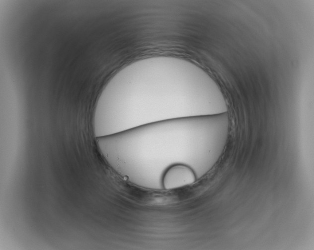 X0000112760555200908201036