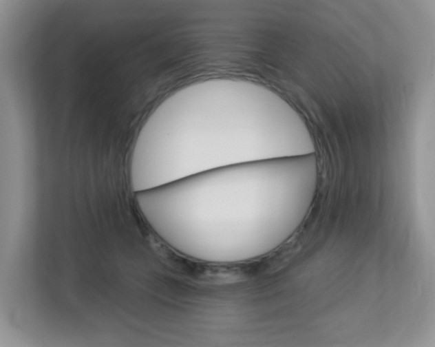 X0000112760559200908201036