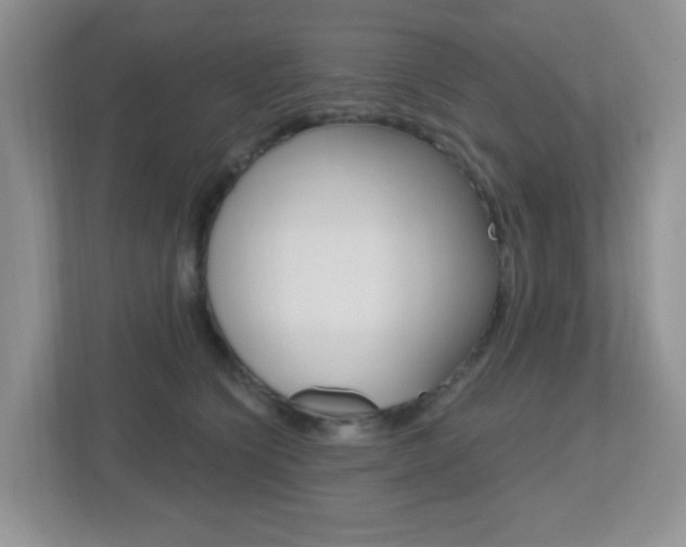 X0000112760564200908201036