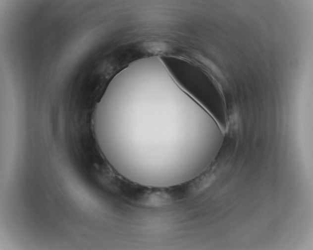 X0000112760572200908201036