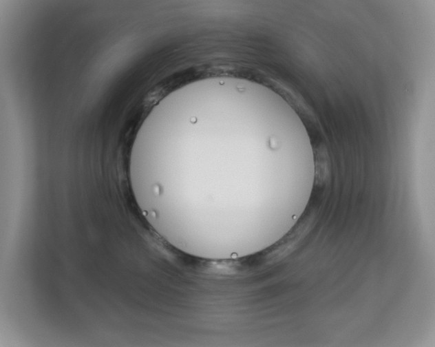 X0000112760573200908201036