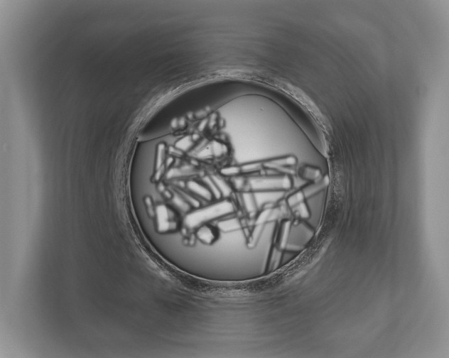X0000112760577200908201035