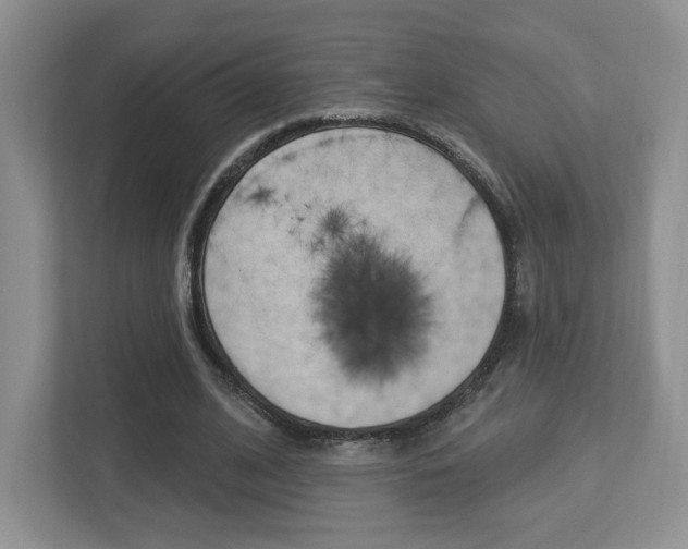X0000112760584200908201035