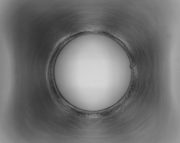 X0000112760587200908201035
