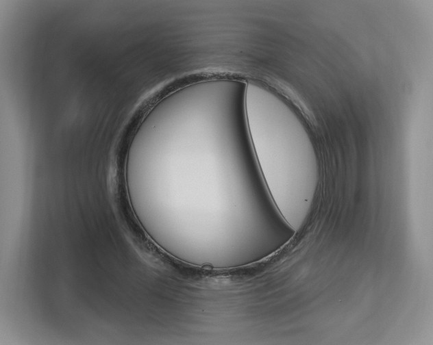 X0000112760588200908201035