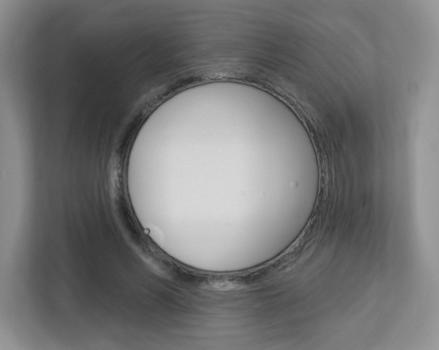 X0000112760590200908201035