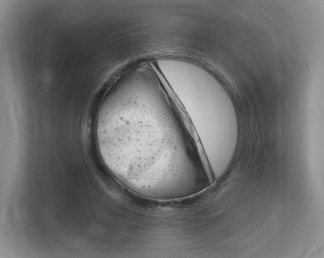X0000112760592200908201035