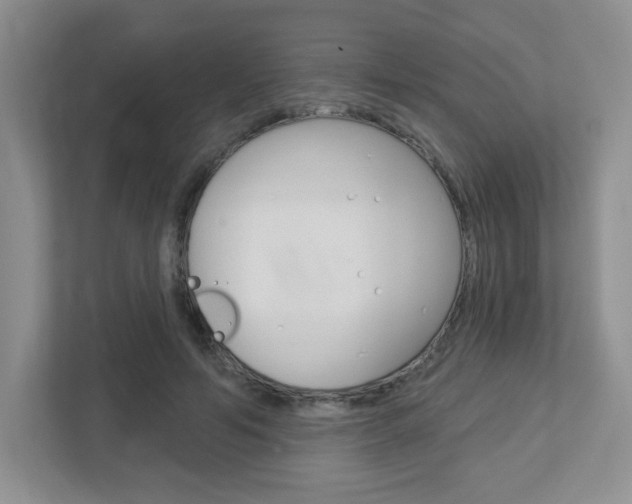 X0000112760594200908201035