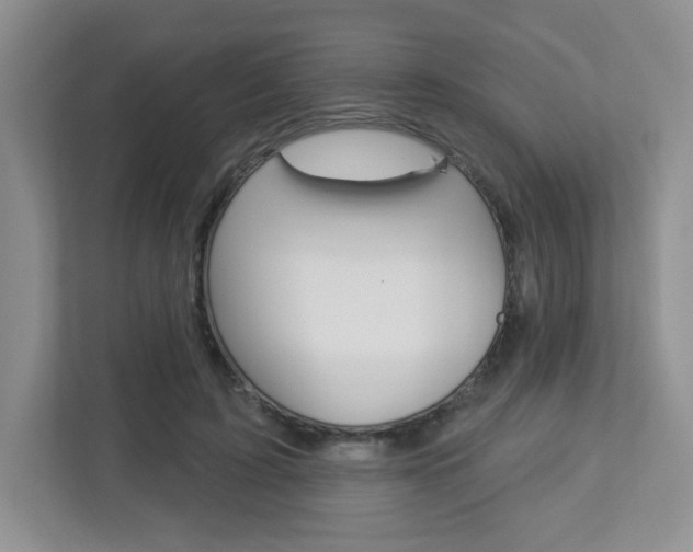 X0000112760595200908201035