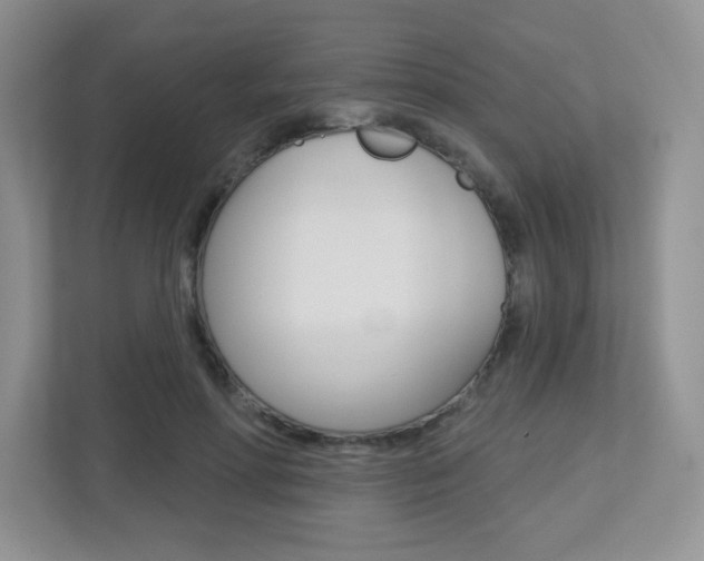 X0000112760598200908201035