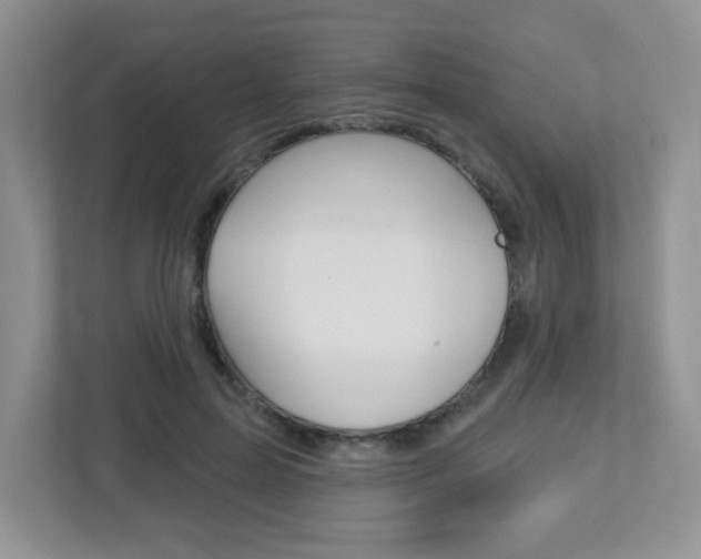 X0000112760599200908201035