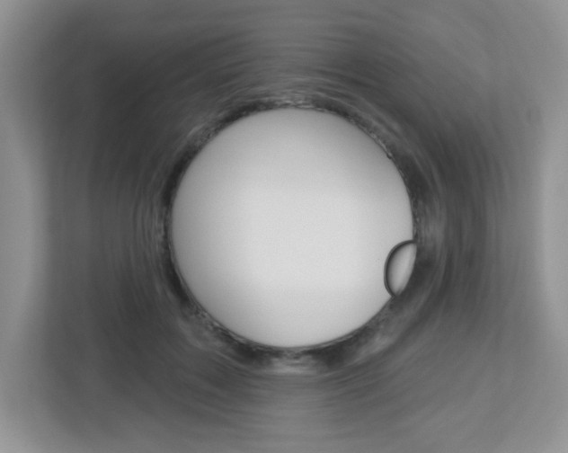 X0000112760603200908201035