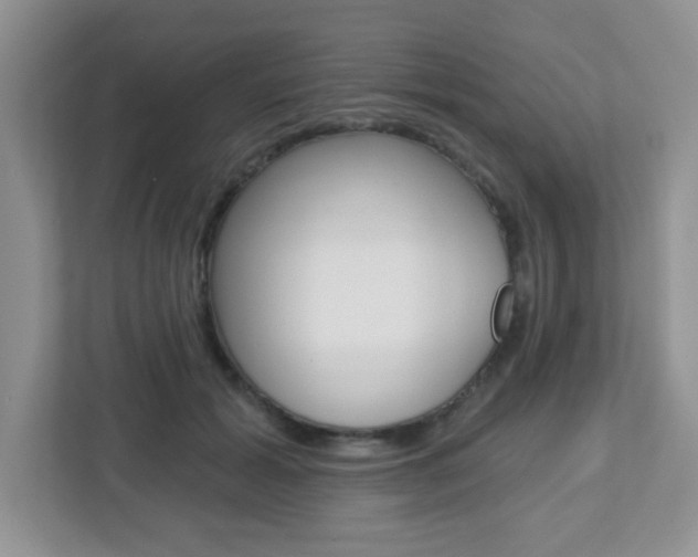 X0000112760605200908201035