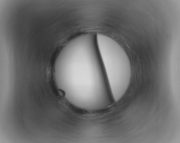 X0000112760608200908201035