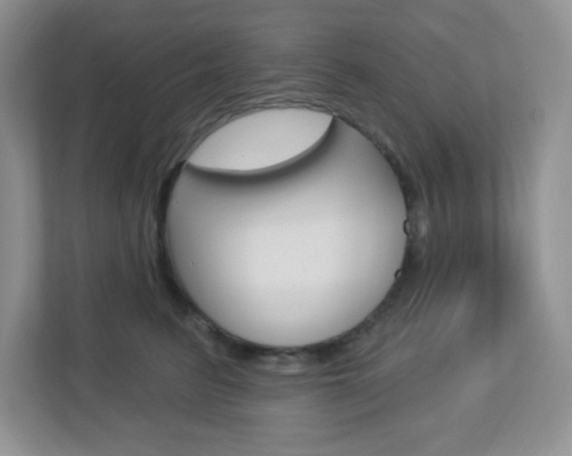 X0000112760615200908201035