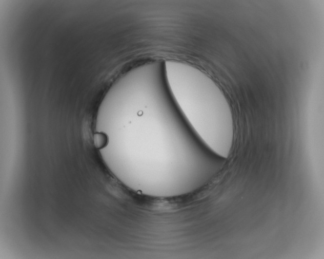X0000112760616200908201035