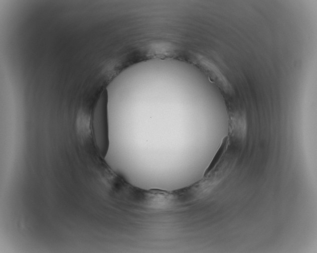 X0000112760621200908201035