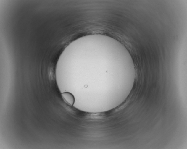 X0000112760622200908201035
