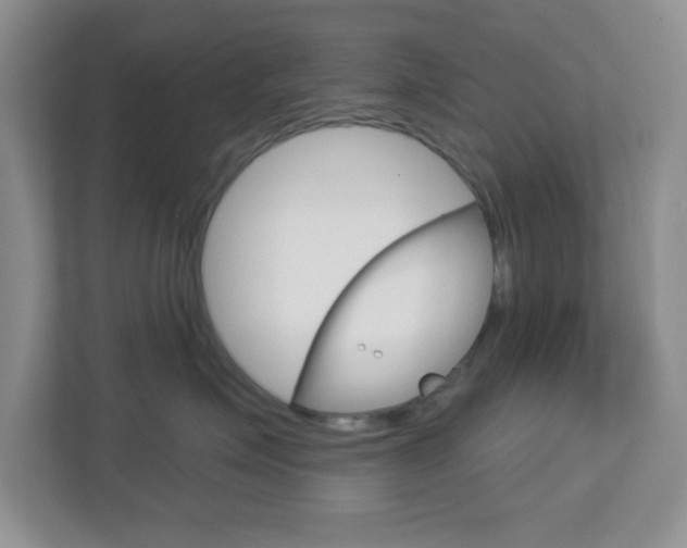 X0000112760623200908201035