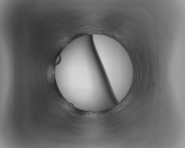 X0000112760624200908201035