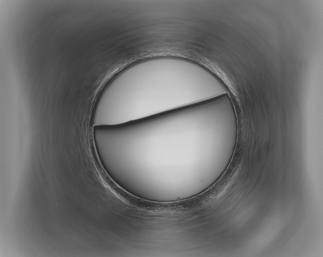 X0000112760625200908201034