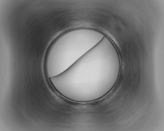 X0000112760629200908201034